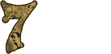 Seven Clothing Company